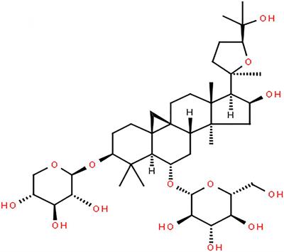 Research Progress on the Ability of Astragaloside IV to Protect the Brain Against Ischemia-Reperfusion Injury